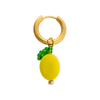 Citrus Bliss Earring