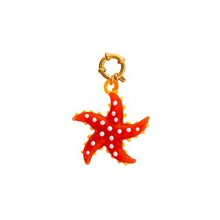 Ocean Star Charm Pendant