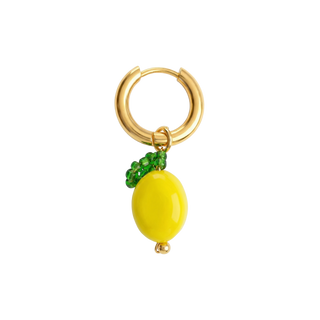 Citrus Bliss Earring